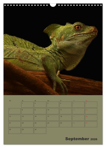 Produktbild: Minidrachen - Die kleinen Nachkommen der Urzeitmonster (Wandkalender 2026 DIN A3 hoch), CALVENDO Monatskalender