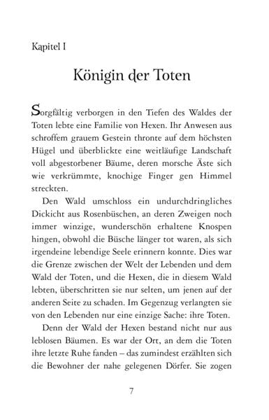 Produktbild: Disney Villains 5: Das verzauberte Haar
