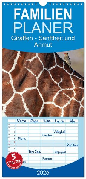 Familienplaner 2026 - Giraffen - Sanftheit und Anmut mit 5 Spalten (Wandkalender, 21 x 45 cm) CALVENDO