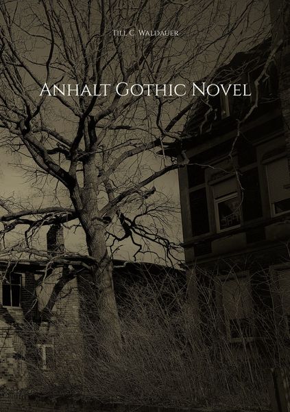 Produktbild: Anhalt Gothic Novel