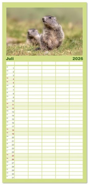 Produktbild: Familienplaner 2026 - Tiere der Alpen - Murmeltier-Kinder mit 5 Spalten (Wandkalender, 21 x 45 cm) CALVENDO