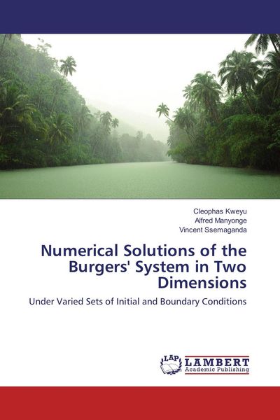 Produktbild: Numerical Solutions of the Burgers' System in Two Dimensions