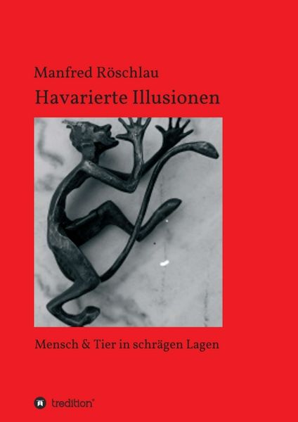 Havarierte Illusionen, Taschenbuch von Manfred Röschlau, Tredition, 9783749714100