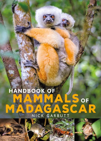 Produktbild: Handbook of Mammals of Madagascar