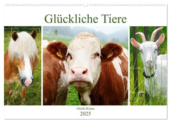 Glückliche Tiere (Wandkalender 2025 DIN A2 quer), CALVENDO Monatskalender