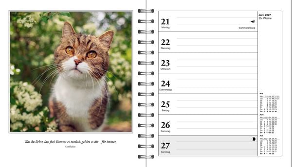 Produktbild: Diary Schmusekatzen 2027