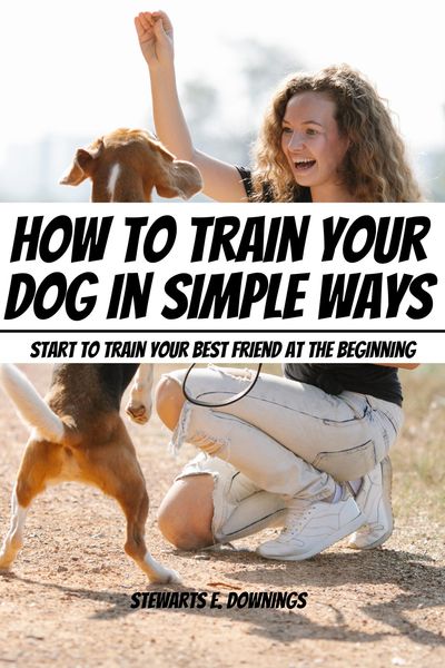 Produktbild: How To Train Your Dog in Simple Ways! Start to Train Your Best Friend At The Beginning