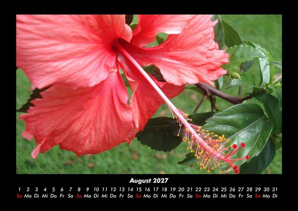 Produktbild: Blumentr&auml;ume 2027 Fotokalender DIN A3