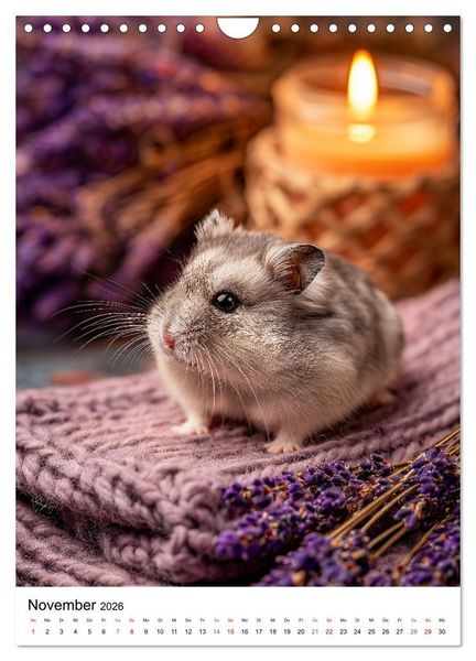 Produktbild: Hamster - s&uuml;&szlig;e Tiere zum Verlieben (Wandkalender 2026 DIN A4 hoch), CALVENDO Monatskalender