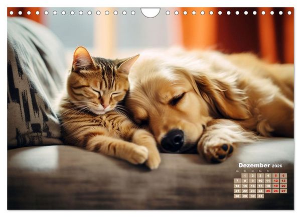 Produktbild: Lieblingsschlafpl&auml;tze (Wandkalender 2026 DIN A4 quer), CALVENDO Monatskalender