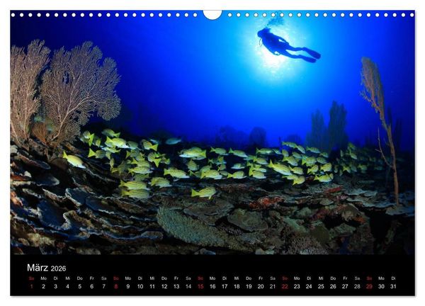 Produktbild: Magische Unterwasserwelten (Wandkalender 2026 DIN A3 quer), CALVENDO Monatskalender