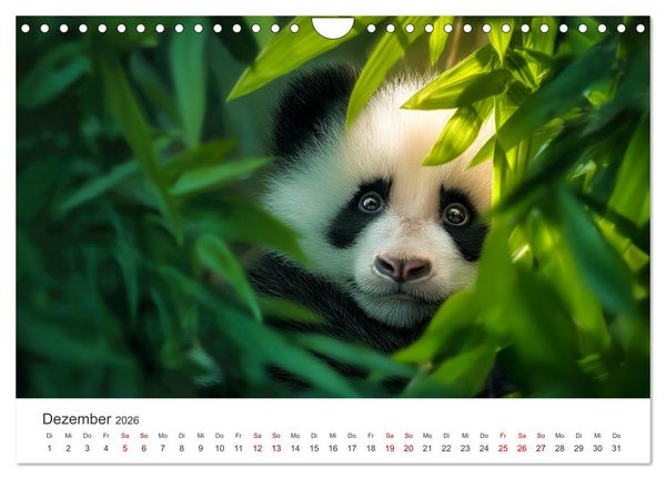 Produktbild: Schwarz auf Wei&szlig; - Der Panda-Kalender (Wandkalender 2026 DIN A4 quer), CALVENDO Monatskalender