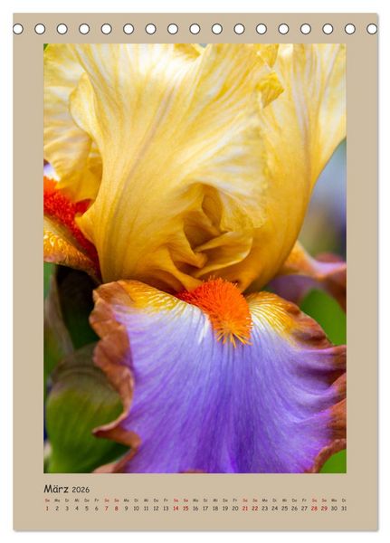 Produktbild: Zauberhafte Iris (Tischkalender 2026 DIN A5 hoch), CALVENDO Monatskalender