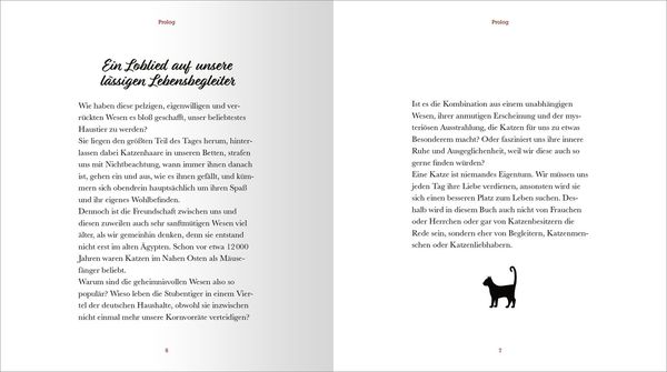 Produktbild: Kleine Katzenphilosophie