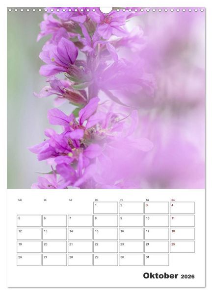 Produktbild: Farbiger Bl&uuml;tentraum (Wandkalender 2026 DIN A3 hoch), CALVENDO Monatskalender