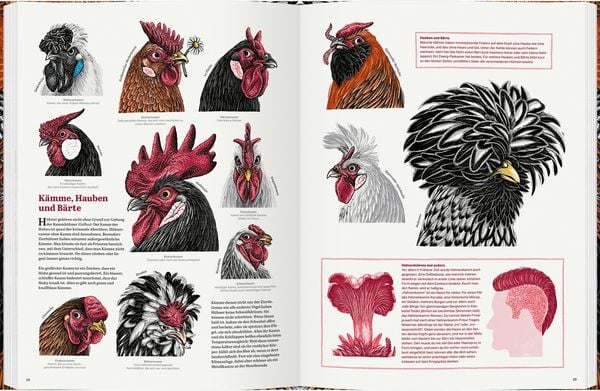Produktbild: Das gro&szlig;e Buch der H&uuml;hner