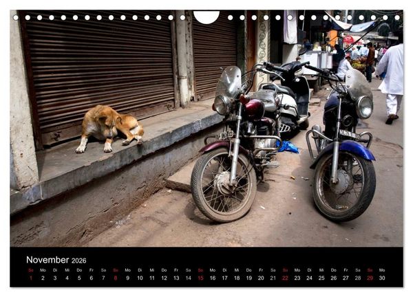 Produktbild: Stra&szlig;enhunde (Wandkalender 2026 DIN A4 quer), CALVENDO Monatskalender
