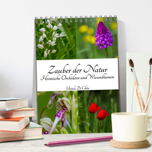Produktbild: Zauber der Natur - Heimische Orchideen und Wiesenblumen (Tischkalender 2026 DIN A5 hoch), CALVENDO Monatskalender
