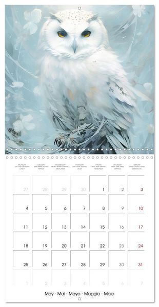 Produktbild: Delicate animal portraits (Wall Calendar 2026 12 &times; 12 Inch) CALVENDO 12 Month Wall Calendar