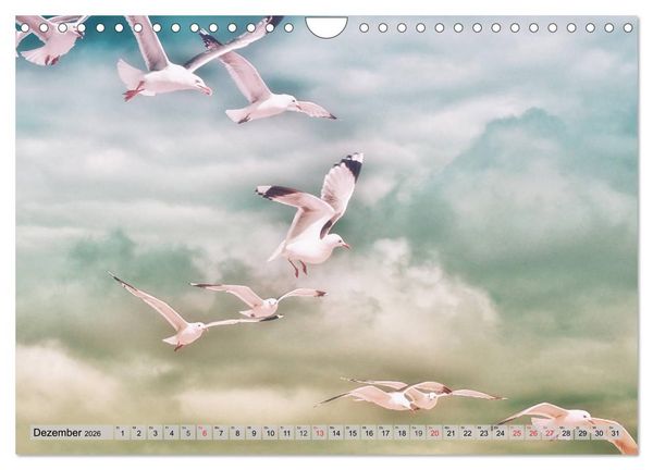 Produktbild: AMRUM Art (Wandkalender 2026 DIN A4 quer), CALVENDO Monatskalender