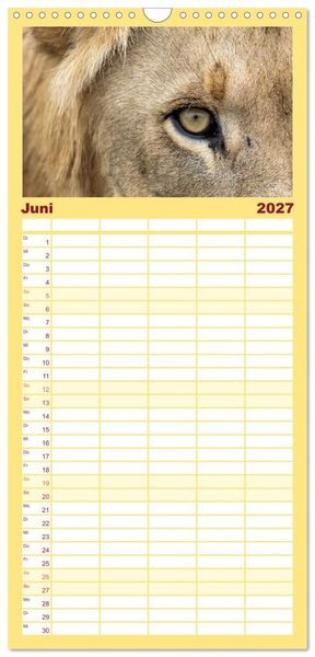 Produktbild: Familienplaner 2027 - L&ouml;wen in Botswana und S&uuml;dafrika mit 5 Spalten (Wandkalender, 21 x 45 cm) CALVENDO