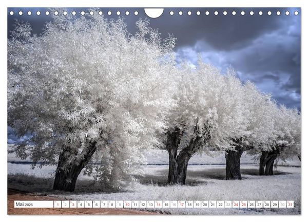 Produktbild: Zauberhafte Infrarot-Fotografie (Wandkalender 2026 DIN A4 quer), CALVENDO Monatskalender