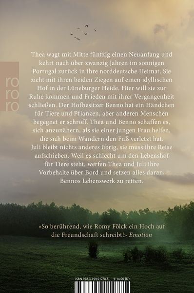 Produktbild: Das Licht in den Birken