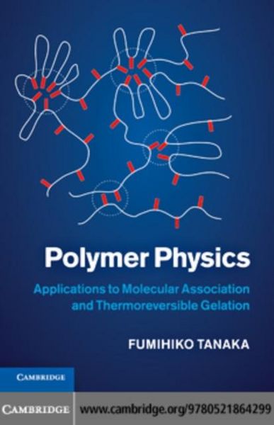 Produktbild: Polymer Physics