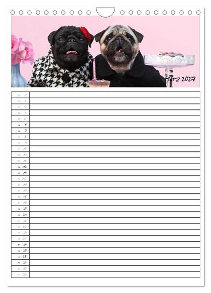 Produktbild: Der mopsige Familienplaner (Wandkalender 2027 DIN A4 hoch), CALVENDO Monatskalender