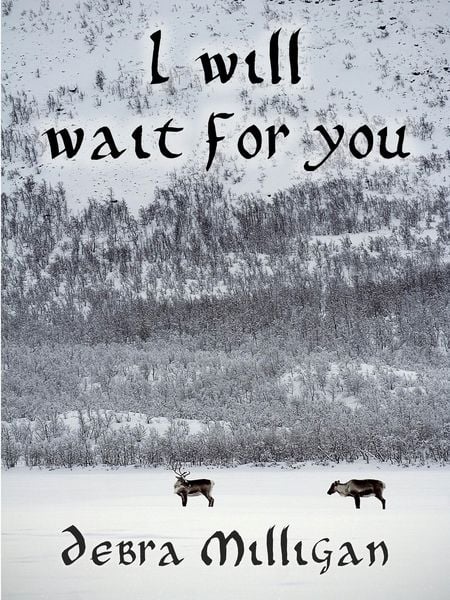 Produktbild: I Will Wait for You