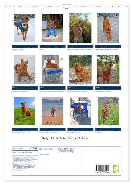 Produktbild: Kelly - Ein Irish Terrier macht Urlaub (Wandkalender 2026 DIN A3 hoch), CALVENDO Monatskalender