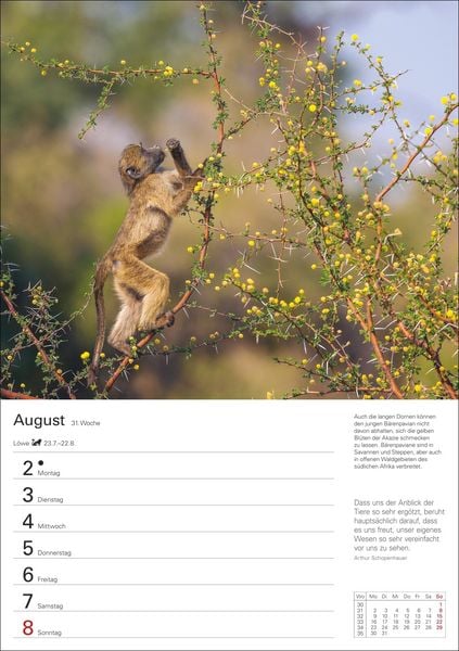 Produktbild: Natursch&auml;tze Afrikas Wochenplaner 2027 - Eine Reise in 53 Bildern