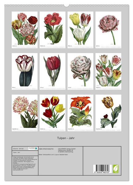 Produktbild: Tulpen - Jahr (hochwertiger Premium Wandkalender 2026 DIN A2 hoch), Kunstdruck in Hochglanz