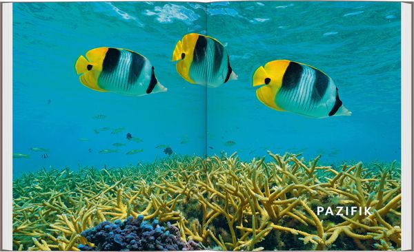 Produktbild: LONELY PLANET Bildband Legend&auml;re Tauchabenteuer