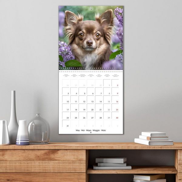 Produktbild: Chihuahuas - Companions for the Whole Year (Wall Calendar 2027 12 &times; 12 Inch) CALVENDO 12 Month Wall Calendar