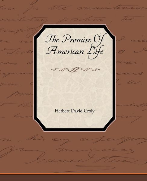 Produktbild: The Promise of American Life