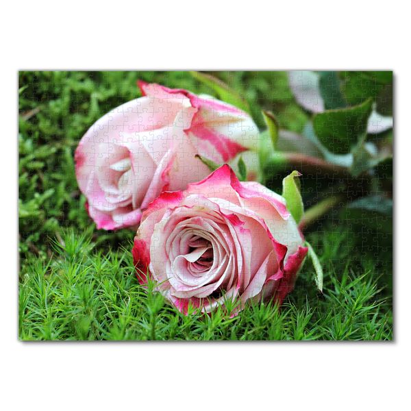 Produktbild: Lais Puzzle Rosen 500 Teile