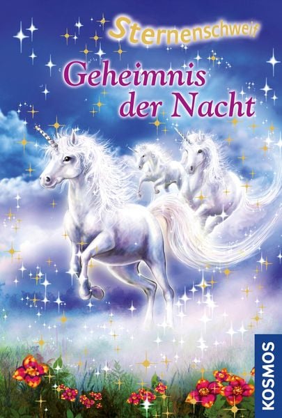 Produktbild: Sternenschweif 24. Geheimnis der Nacht