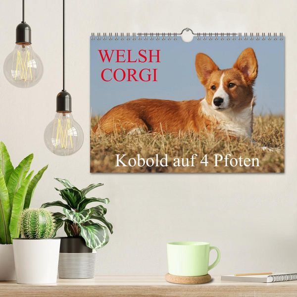 Produktbild: Welsh Corgi - Kobold auf 4 Pfoten (Wandkalender 2026 DIN A4 quer), CALVENDO Monatskalender