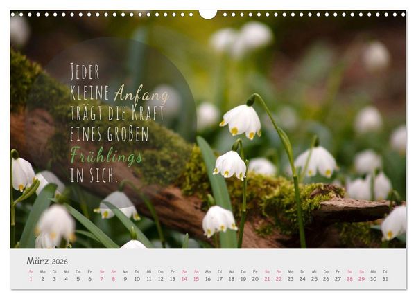 Produktbild: Sanfte Bl&uuml;ten &ndash; leise Worte (Wandkalender 2026 DIN A3 quer), CALVENDO Monatskalender
