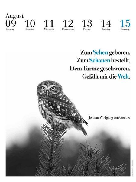 Produktbild: Der literarische Eulenkalender 2027