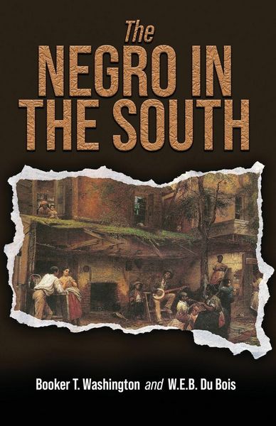 Produktbild: The Negro in the South