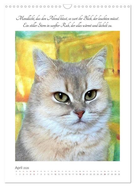 Produktbild: Katzenlyrik - Zw&ouml;lf Seelen auf Samtpfoten in Wort und Bild (Wandkalender 2026 DIN A3 hoch), CALVENDO Monatskalender