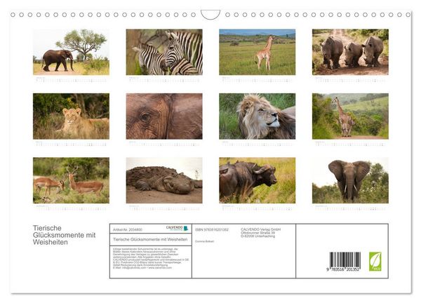 Produktbild: Tierische Gl&uuml;cksmomente mit Weisheiten (Wandkalender 2026 DIN A3 quer), CALVENDO Monatskalender