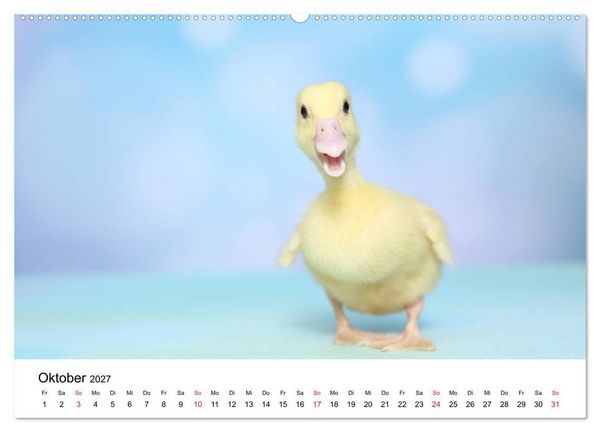 Produktbild: lach mit...just smile (hochwertiger Premium Wandkalender 2027 DIN A2 quer), Kunstdruck in Hochglanz
