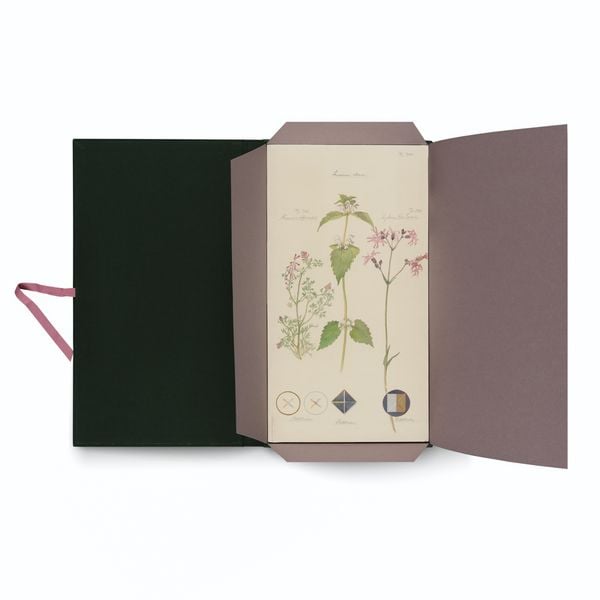 Produktbild: Hilma af Klint. Flora