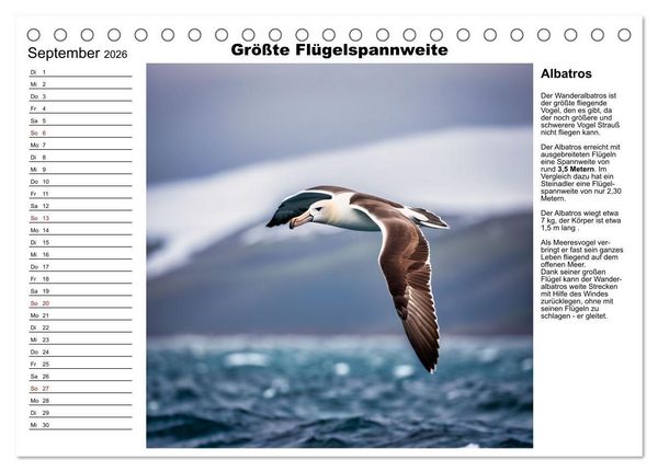 Produktbild: Tierische Rekorde (Tischkalender 2026 DIN A5 quer), CALVENDO Monatskalender