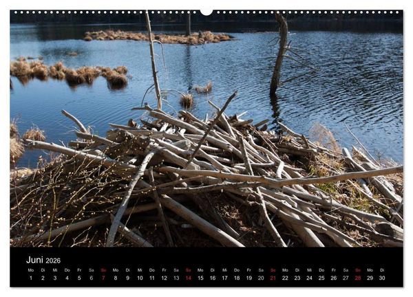 Produktbild: Neu England (Wandkalender 2026 DIN A2 quer), CALVENDO Monatskalender