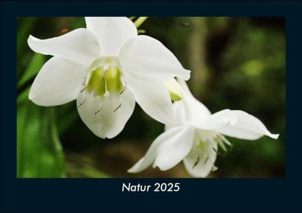 Produktbild: Natur 2025 Fotokalender DIN A5