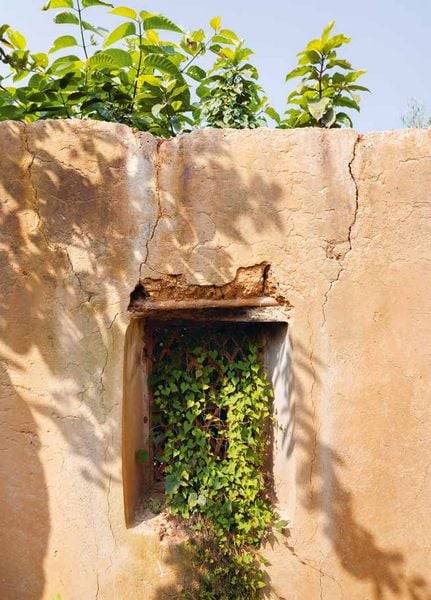 Produktbild: Architecture Is a Tool to Improve Lives